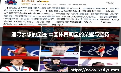 追寻梦想的足迹 中国体育明星的荣耀与坚持
